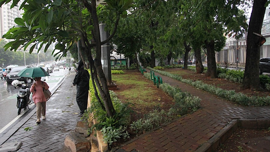 Featured Post Image - Momen Angin Kencang Melanda Jakarta dan Sejumlah Wilayah Lain